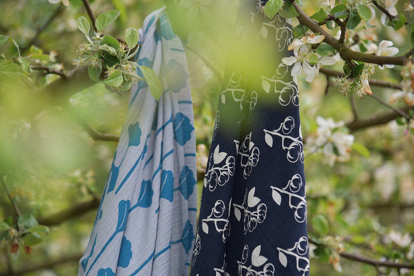 Cottons on Dark Blue Blanket